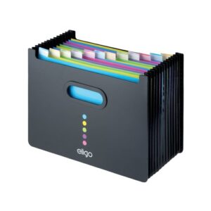 Snopake Eligo Desk Organiser Expanding Polypropylene File 13 Part Landscape