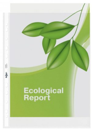 Rexel Ecodesk A4 Premium Recycled Punched Pockets Pack 25