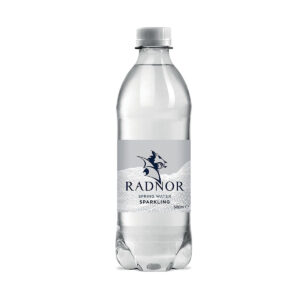 Radnor Hills Sparkling Bottled Water 500ml Pack 24