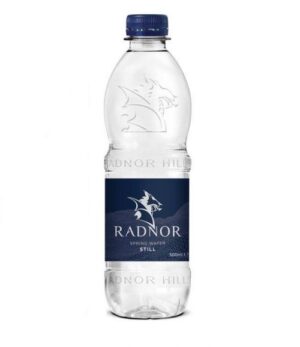 Radnor Hills Still Bottled Water 500ml Pack 24